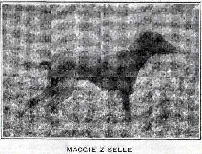 Maggie z Selle