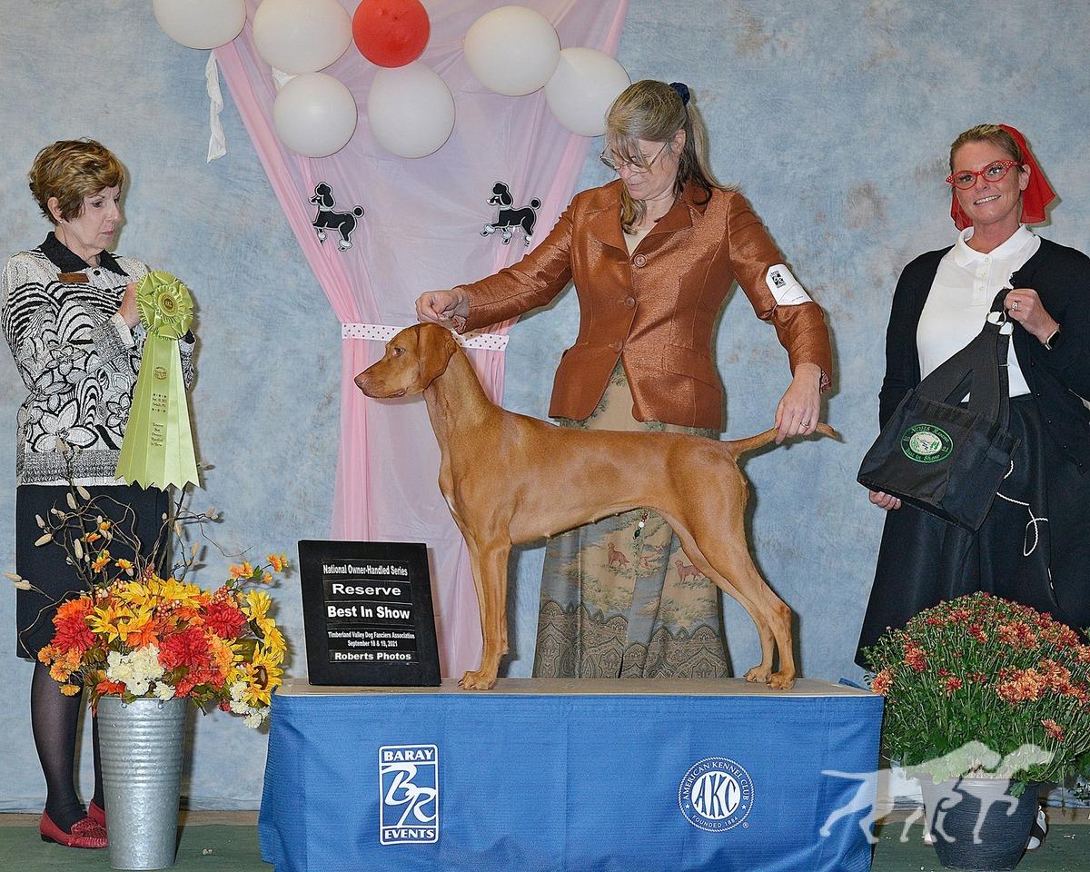 Jaybren's Zactly Like Peyton Place at Tierah