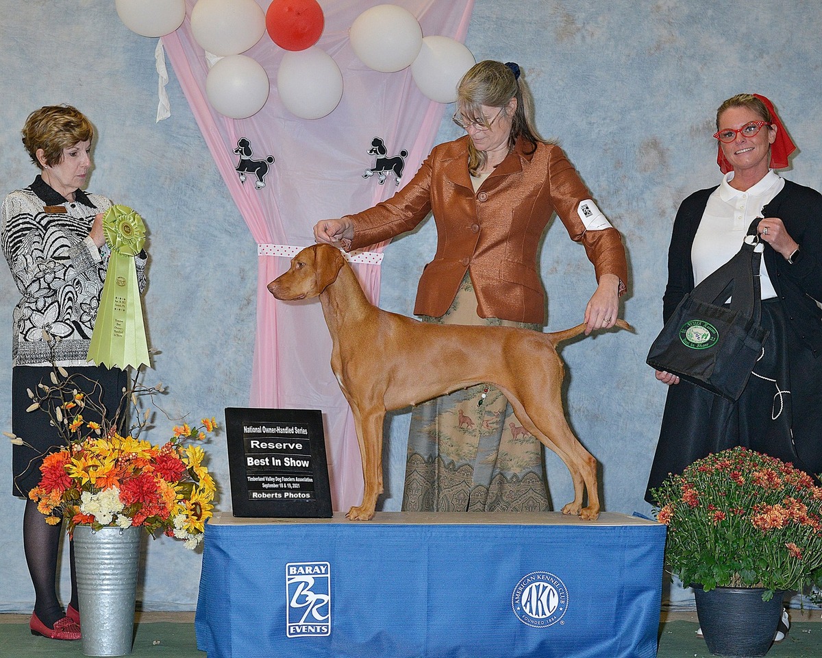 Jaybren's Zactly Like Peyton Place at Tierah