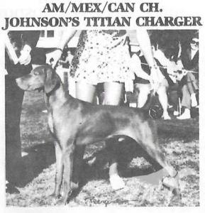 Johnson's Titian Charger