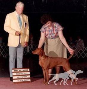 Oakleaf's Whistlin' Dixie