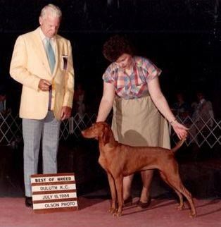 Oakleaf's Whistlin' Dixie