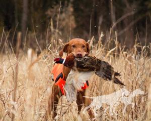 Gunner Highball