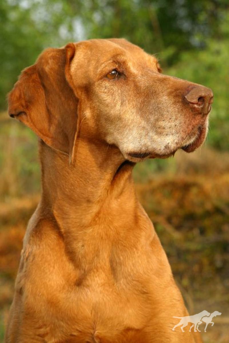 Mara von Brunnergut