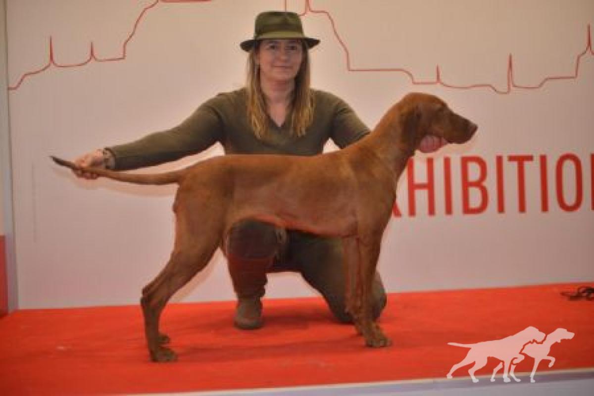 Beatrice z Doubravice nad Moravou