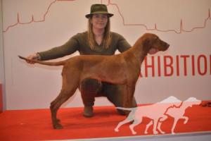 Beatrice z Doubravice nad Moravou