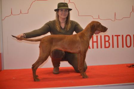 Beatrice z Doubravice nad Moravou