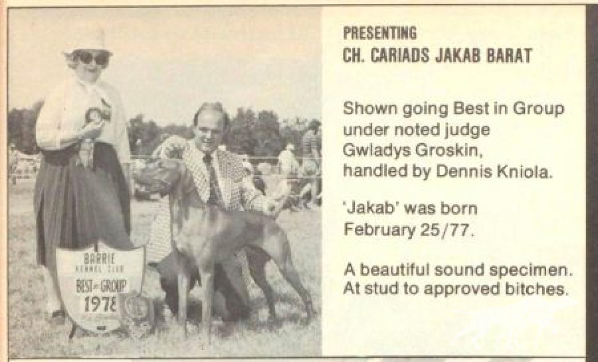 Cariad's Jakab Barat