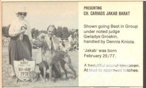 Cariad's Jakab Barat