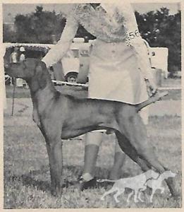 Cariad's Jakab Barat