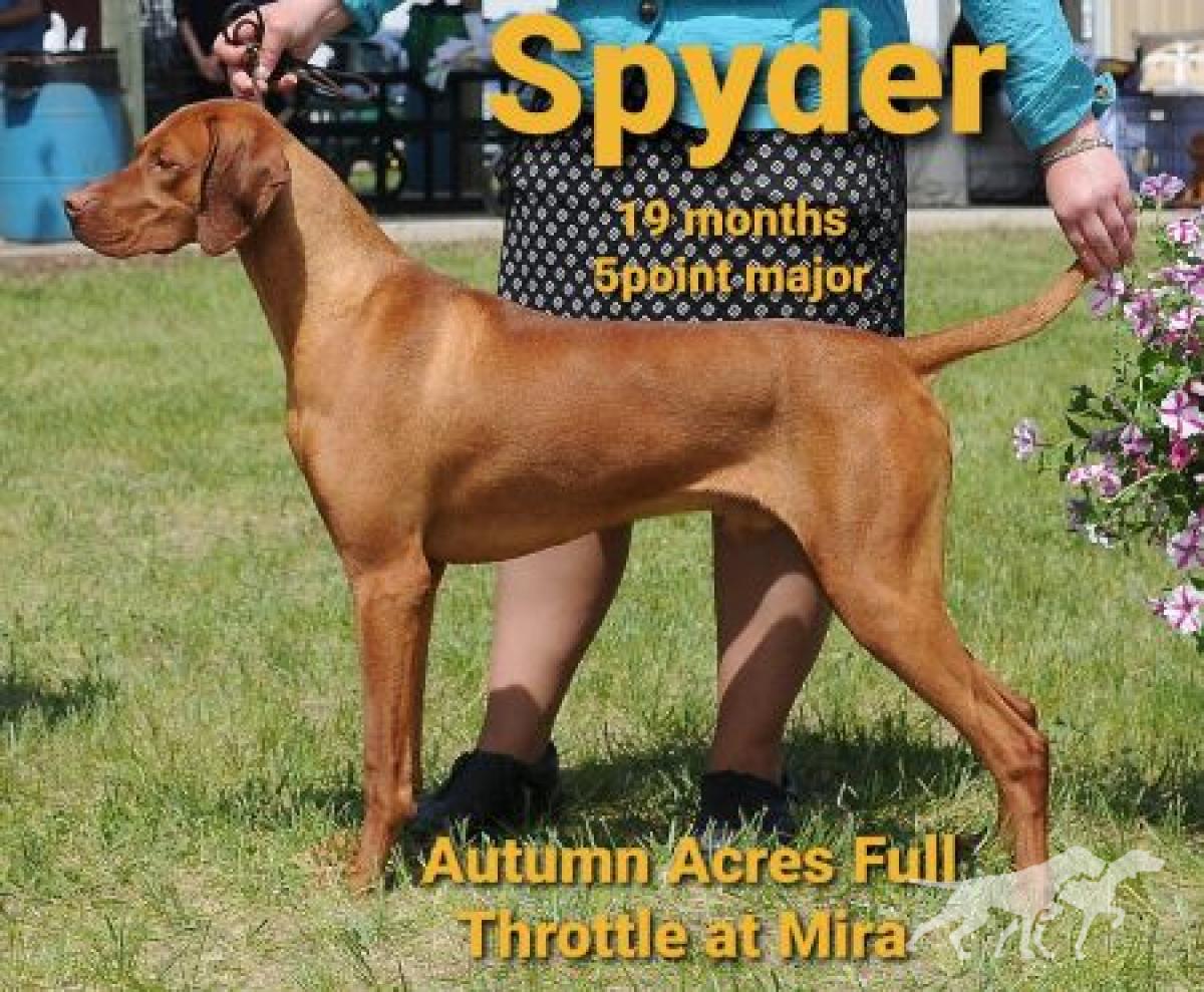 Autumn Acres Full Throttle At Mira