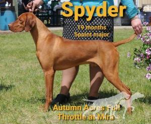 Autumn Acres Full Throttle At Mira