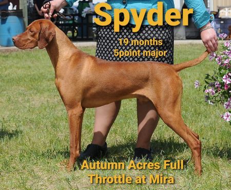 Autumn Acres Full Throttle At Mira