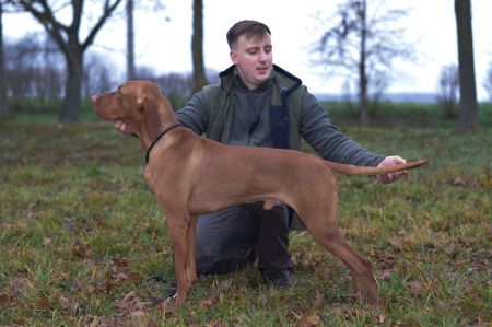 Magasparti Rutinos Thunder