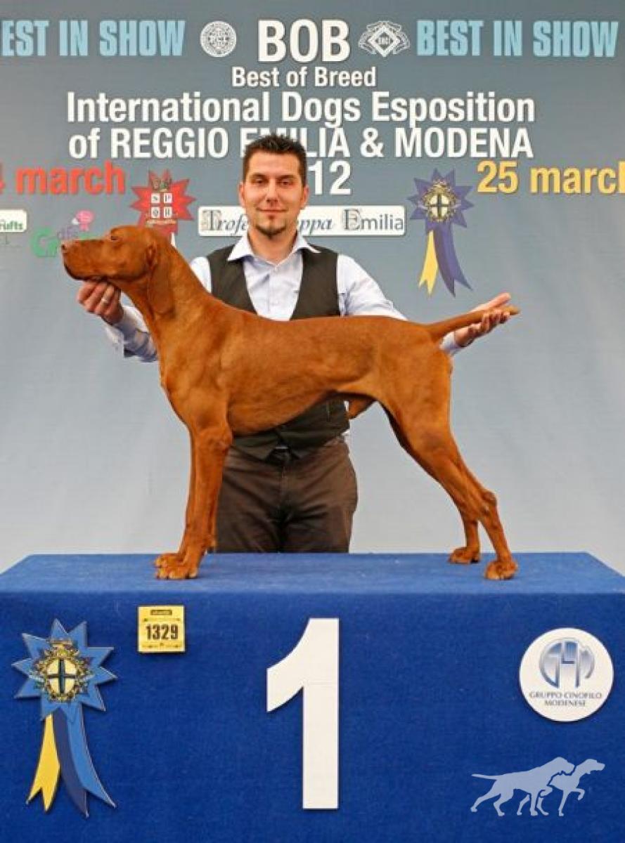 Minos del Fatal Becco