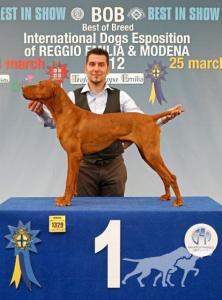 Minos del Fatal Becco