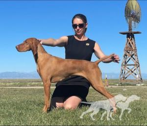 Rhapsody Pop a Top at Solterra