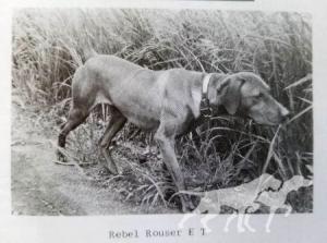 Rebel Rouser E T