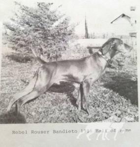 Rebel Rouser Bandieto *