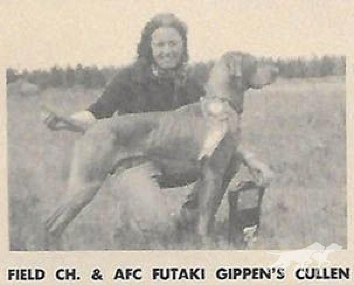 Futaki Gippen's Cullen