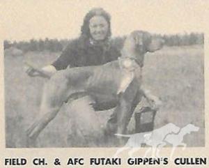 Futaki Gippen's Cullen