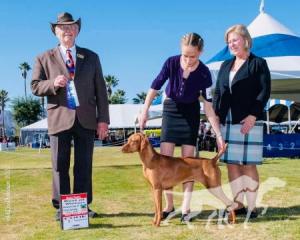 Everlong's Times Like These