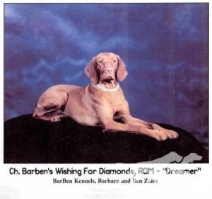 Barben's Wishing For Diamonds