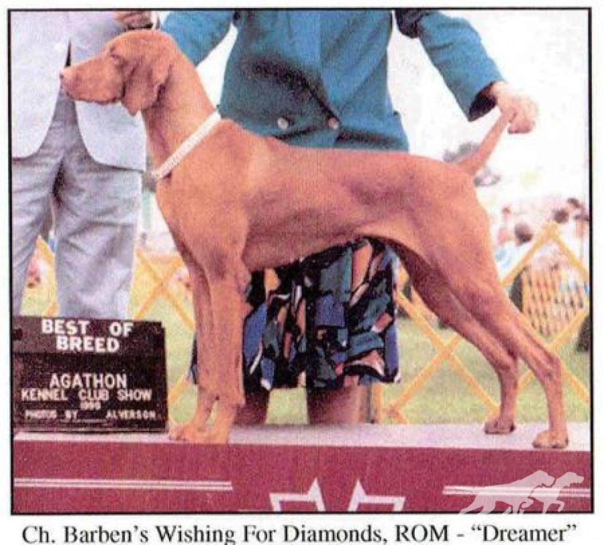 Barben's Wishing For Diamonds