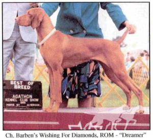 Barben's Wishing For Diamonds