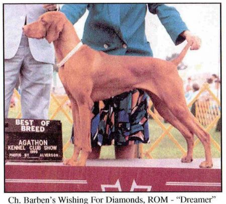 Barben's Wishing For Diamonds