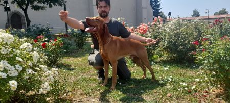 Luxatori Dedevári Konok Pelsonius