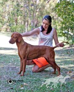 Kimlise La Cygne