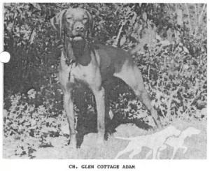 Glen Cottage Adam