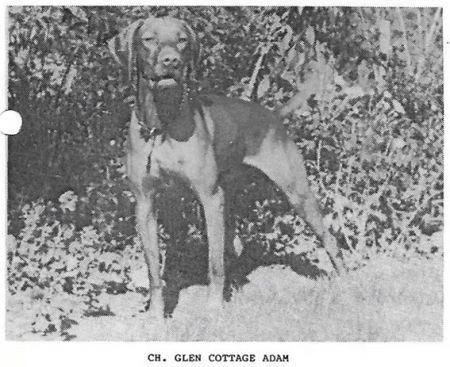 Glen Cottage Adam
