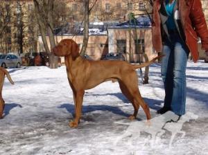 Aik Top Hunter
