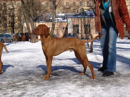 Aik Top Hunter