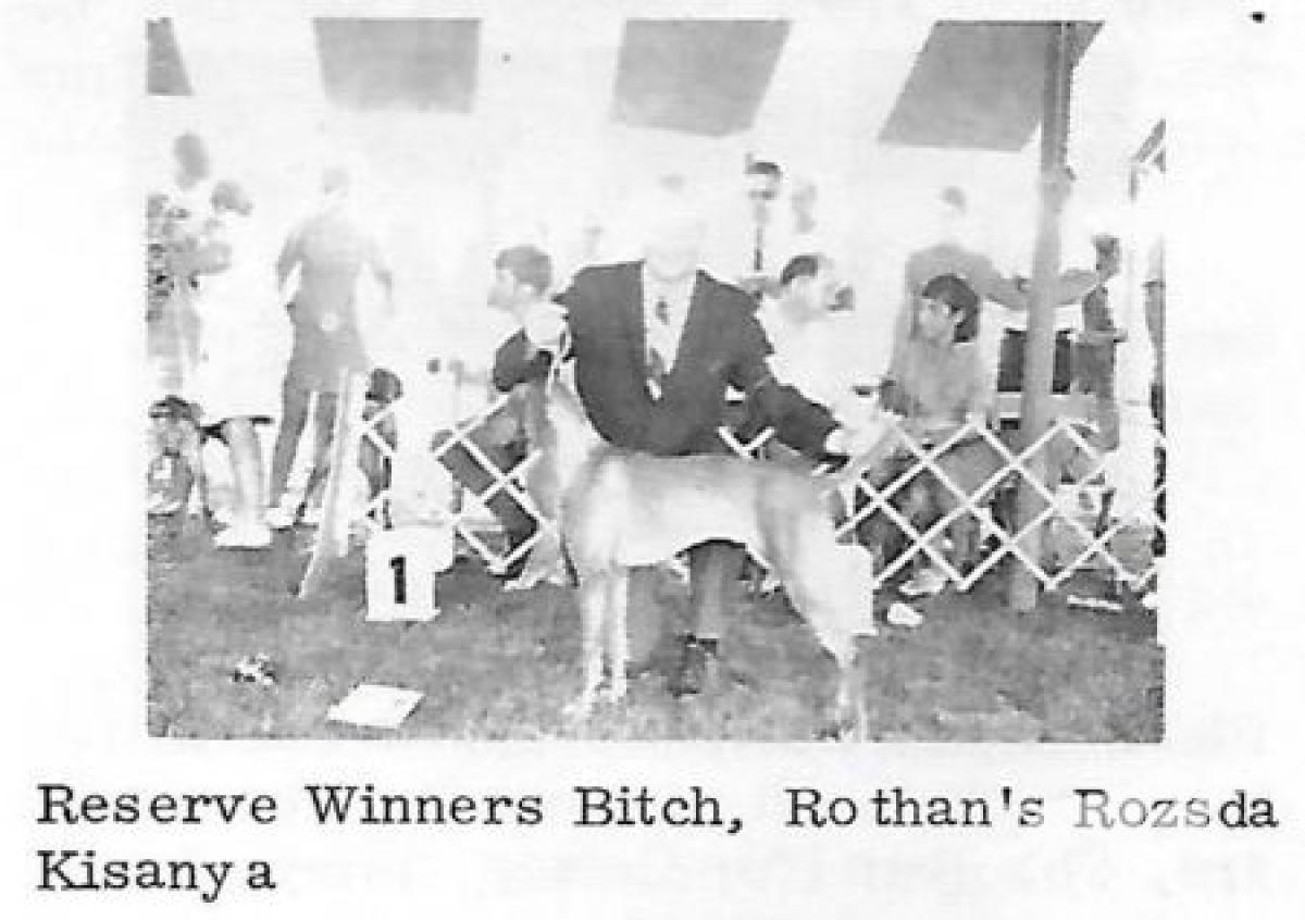 Rothan's Rozsda Kisanya