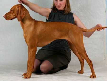 Gern Gross Fantastika
