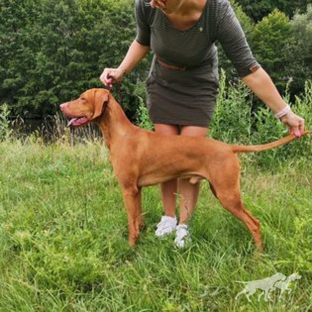 Apollo Cabama Crazy Hunter