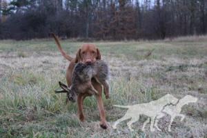 Alwin Cabama Crazy Hunter