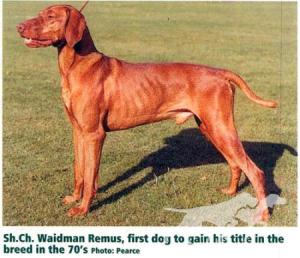 Waidman Remus