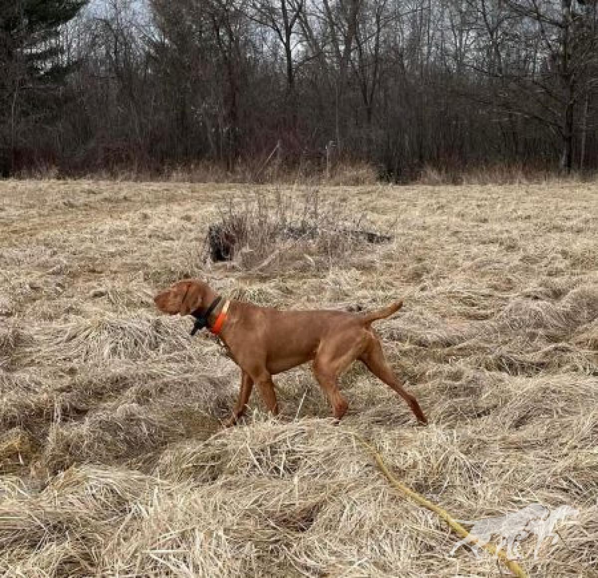 Scout 'Em Out He's The One