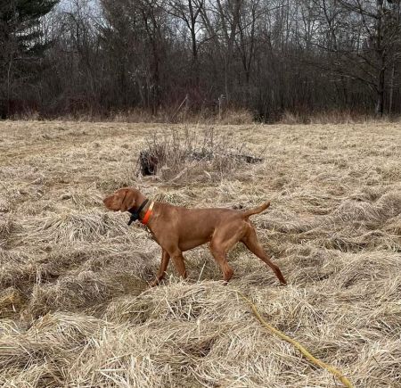 Scout 'Em Out He's The One