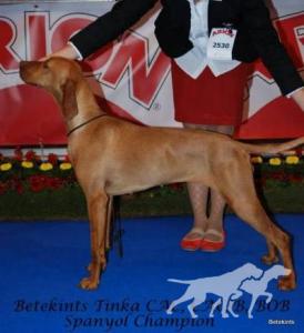 Betekints Tinka