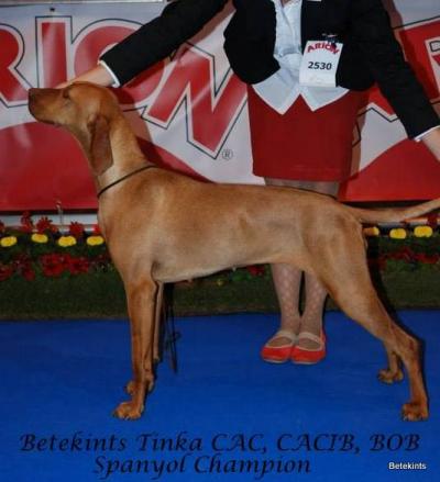 Betekints Tinka