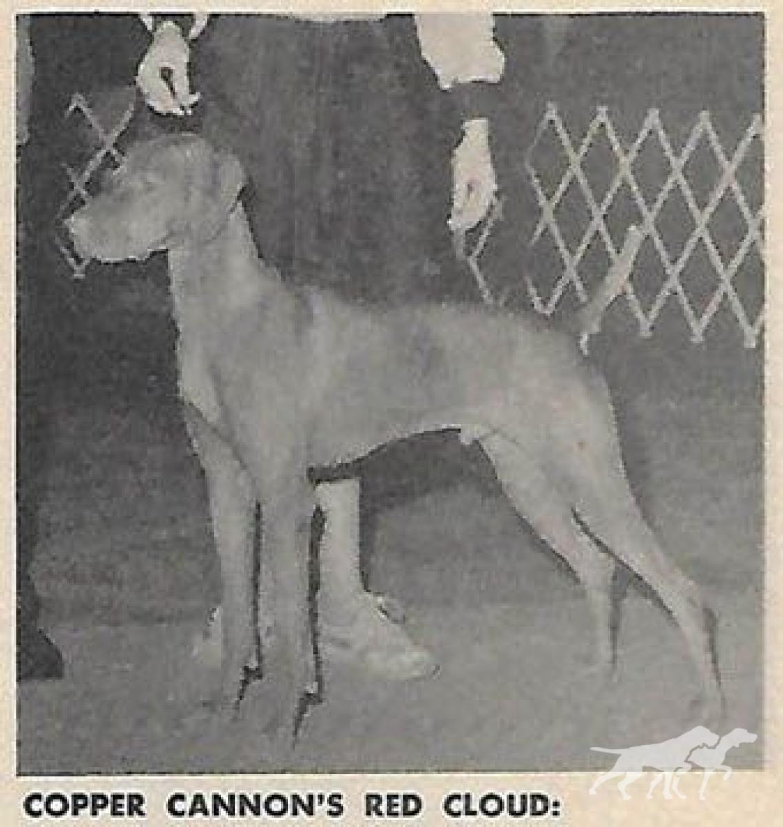 Copper Cannon's Red Cloud