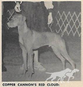 Copper Cannon's Red Cloud