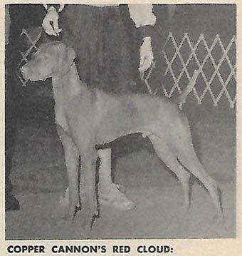 Copper Cannon's Red Cloud