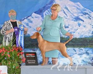 Mountain View Razzle Dazzle