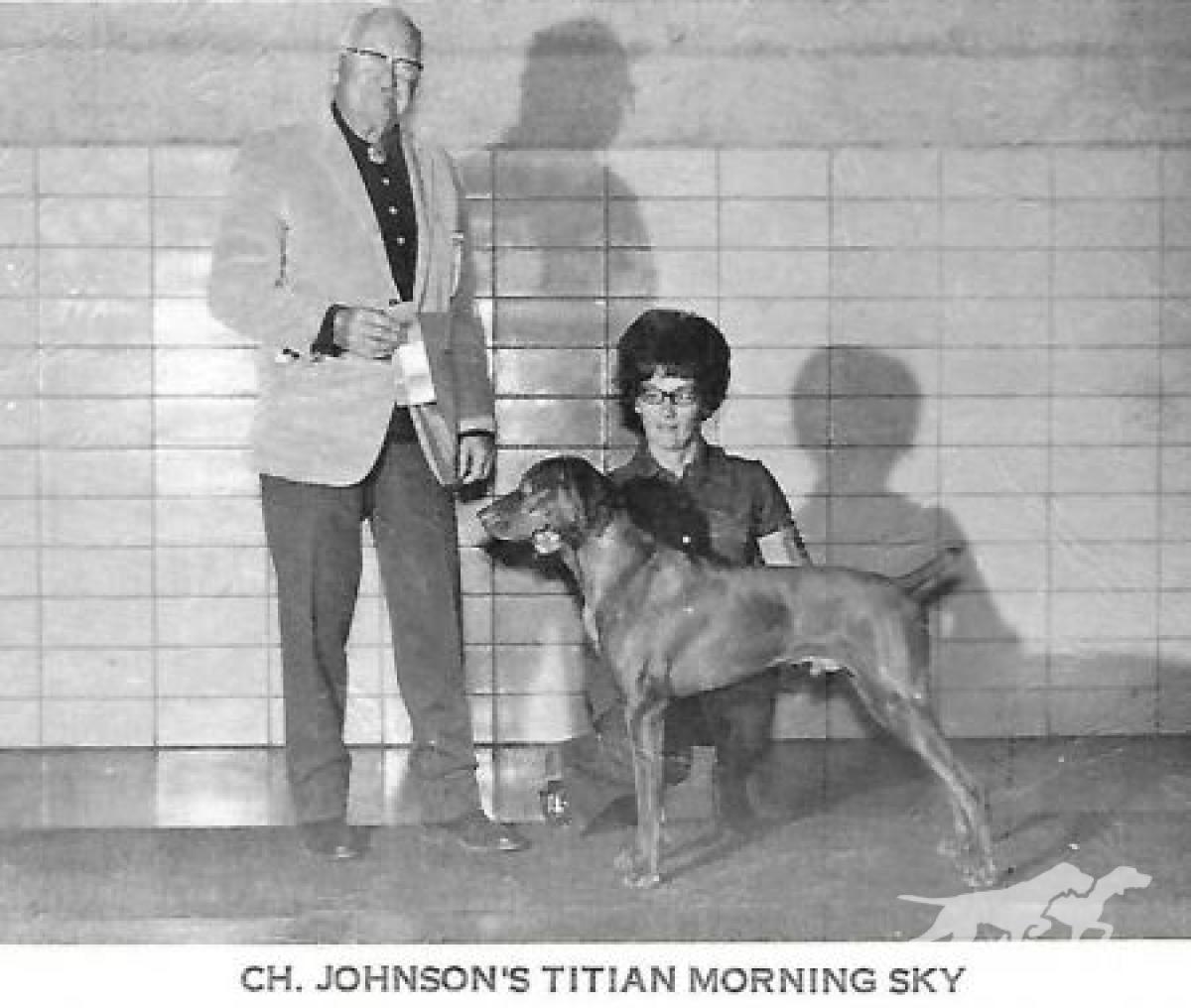 Johnsons Titian Morning Sky